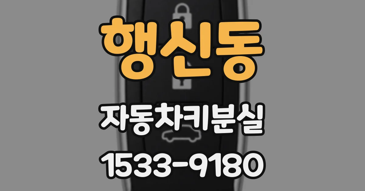 행신동 자동차키분실