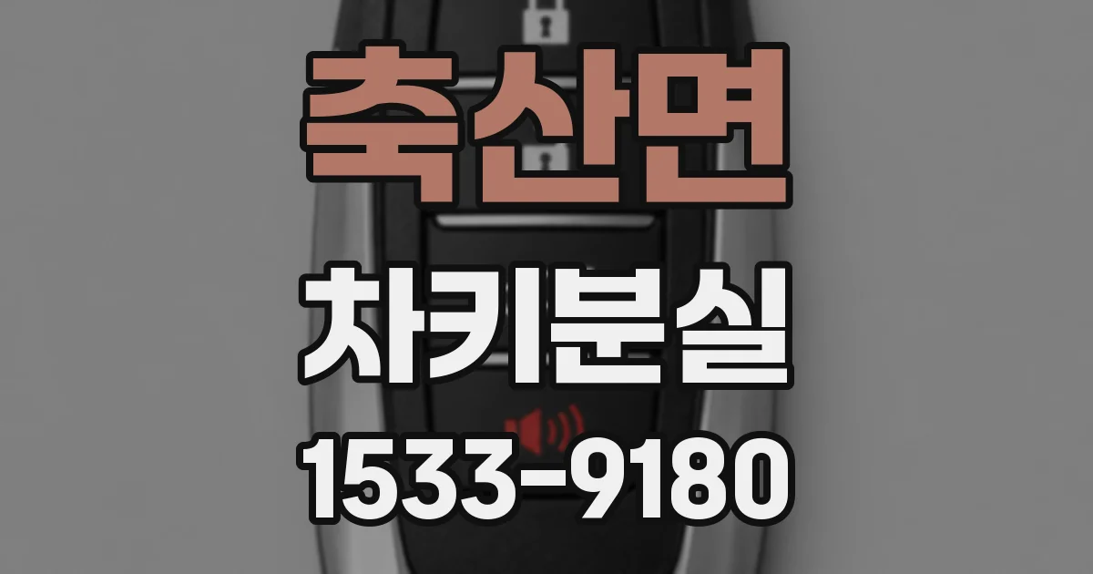 축산면 차키분실