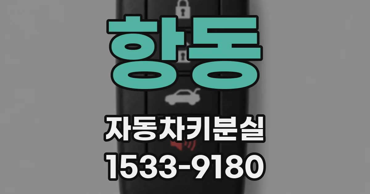 항동 자동차키분실