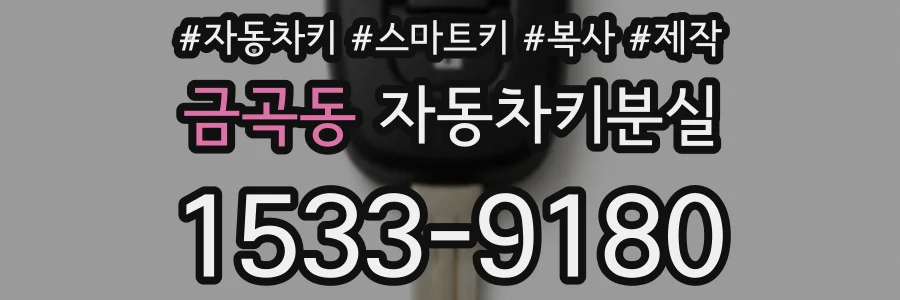 금곡동 자동차키분실