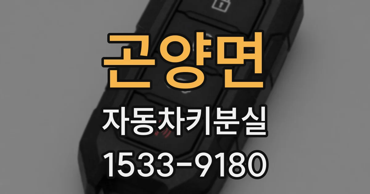 곤양면 자동차키분실