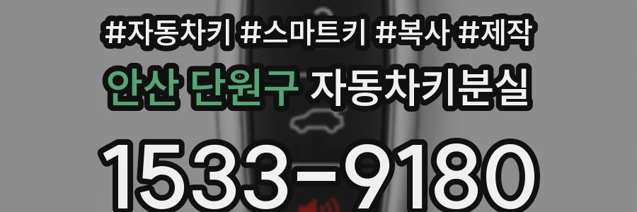 안산 단원구 자동차키분실