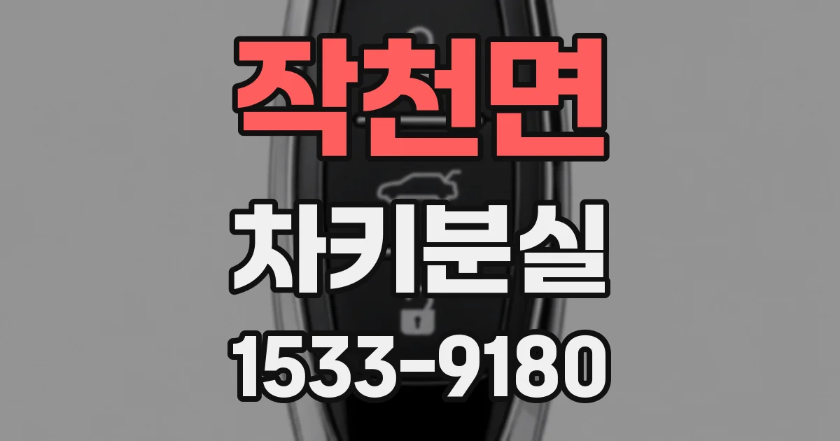 작천면 차키분실