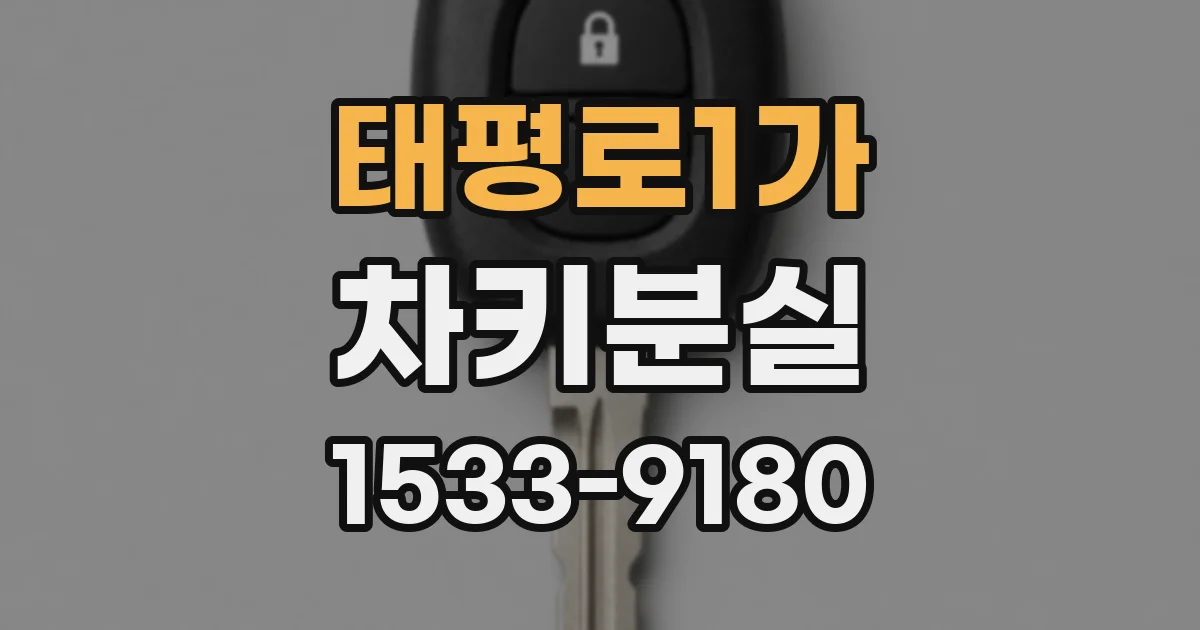 태평로1가 차키분실