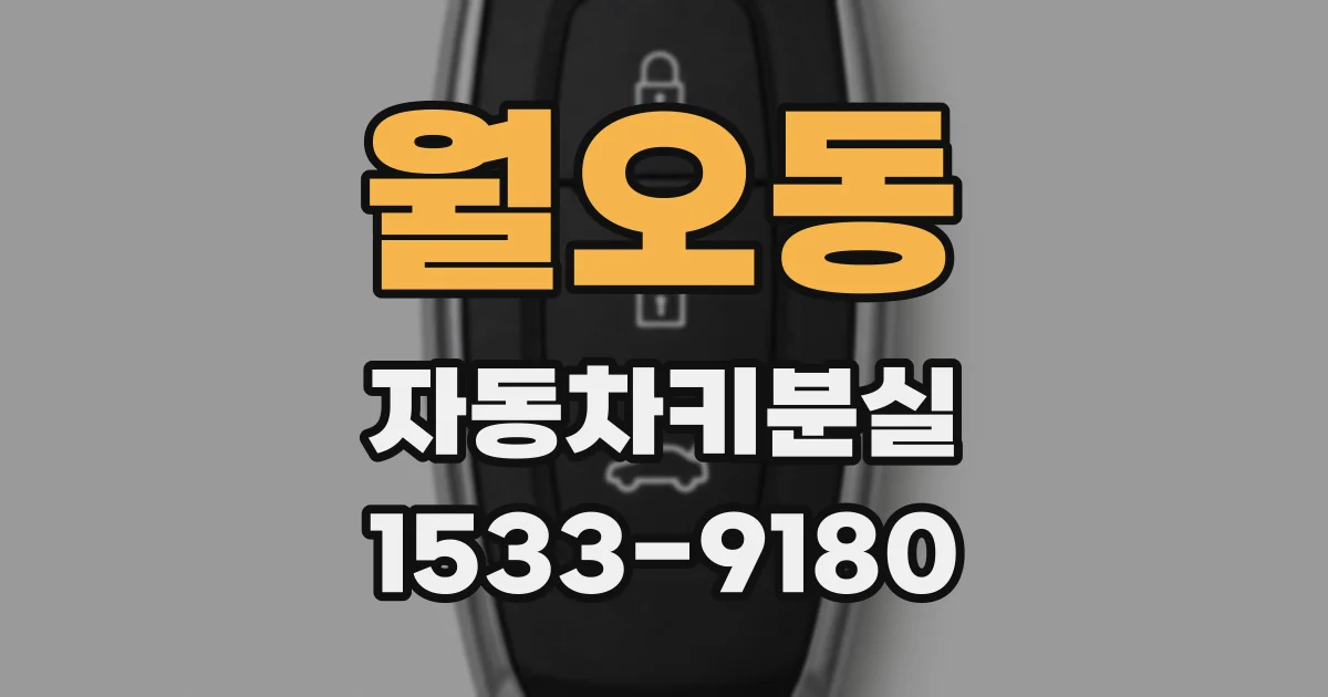 월오동 자동차키분실