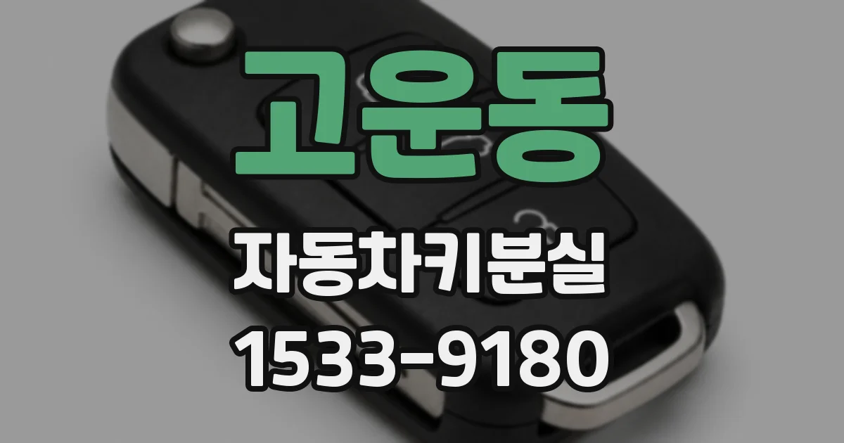고운동 자동차키분실