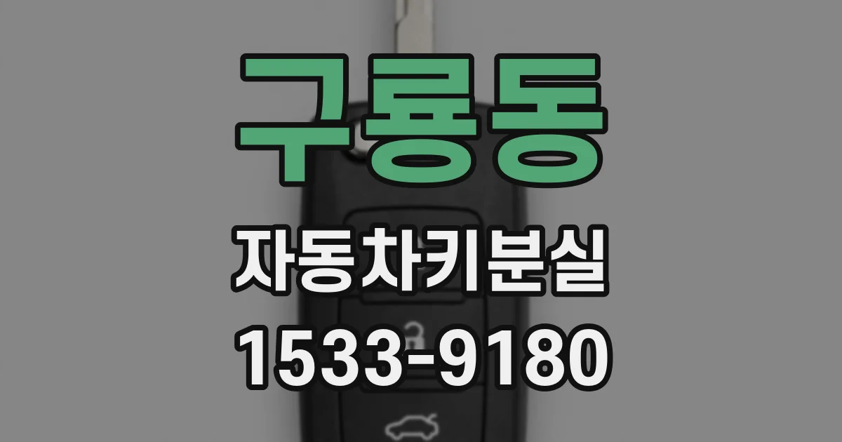 구룡동 자동차키분실
