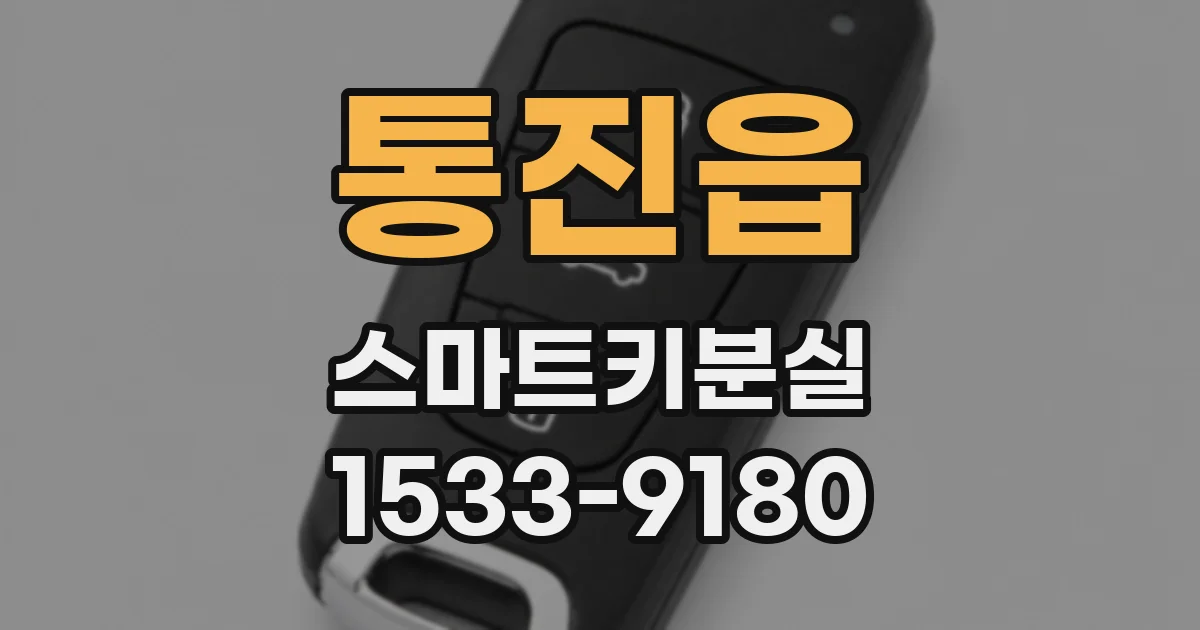 통진읍 스마트키분실