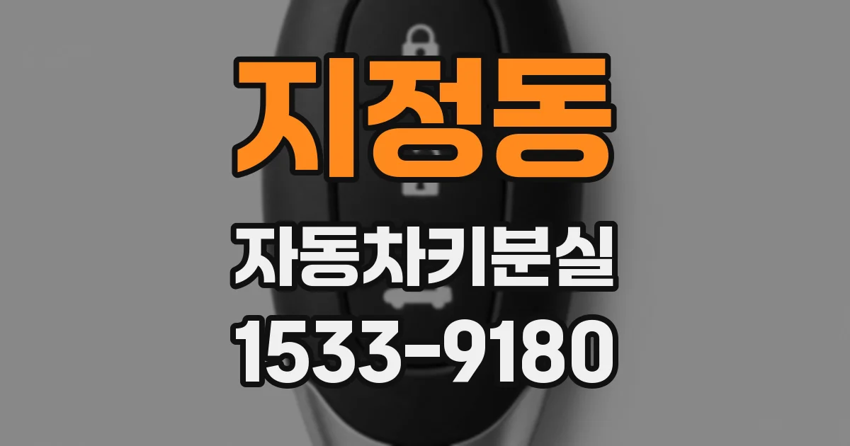 지정동 자동차키분실