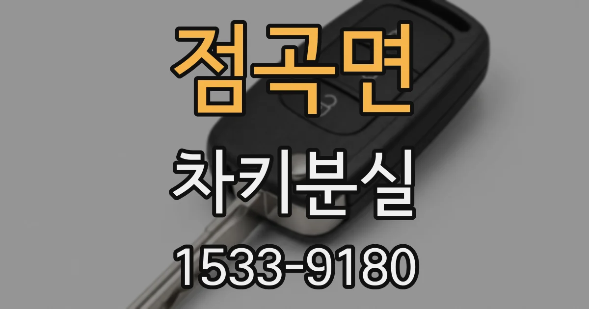점곡면 차키분실
