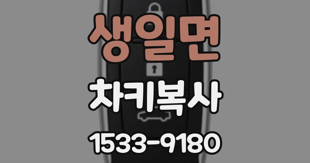 생일면 차키복사
