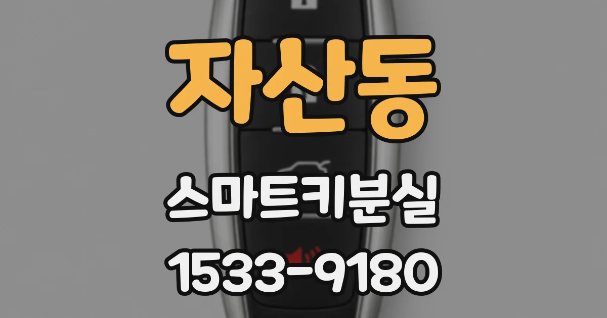 자산동 스마트키분실