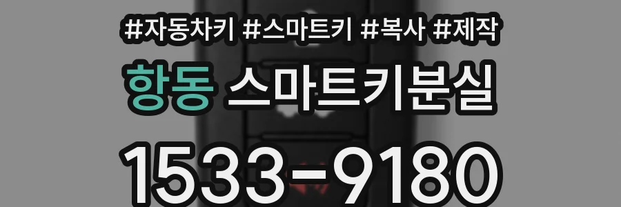 항동 스마트키분실