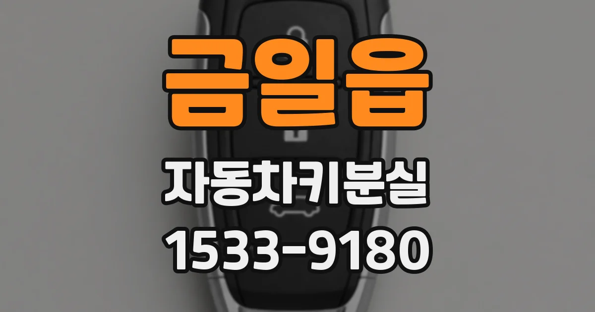 금일읍 자동차키분실