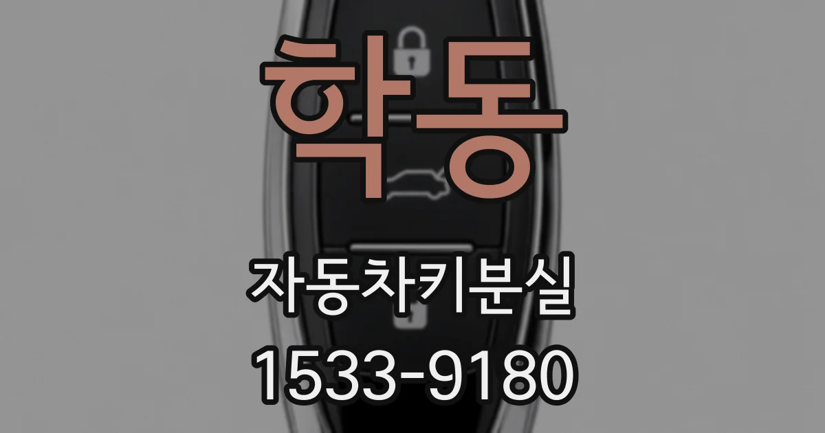 학동 자동차키분실