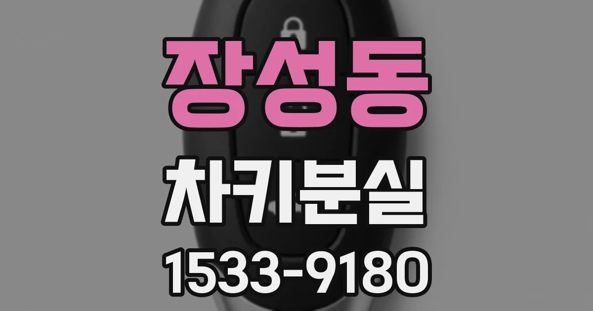 장성동 차키분실