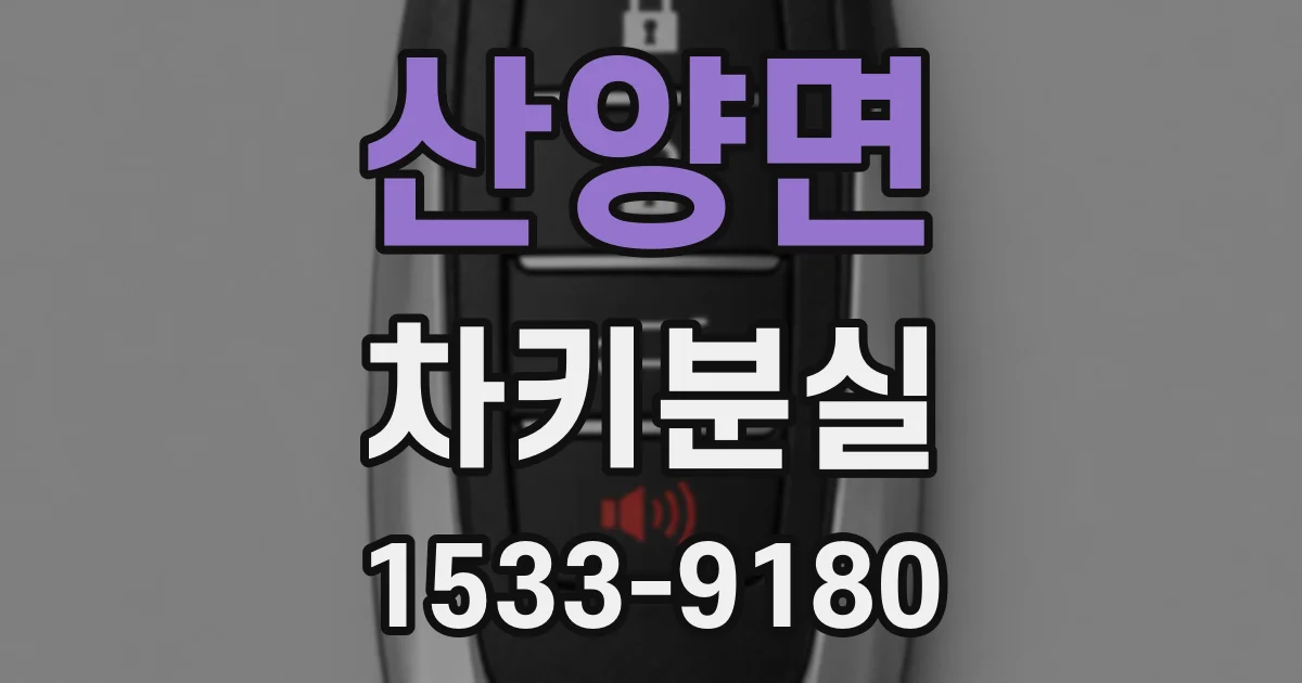 산양면 차키분실