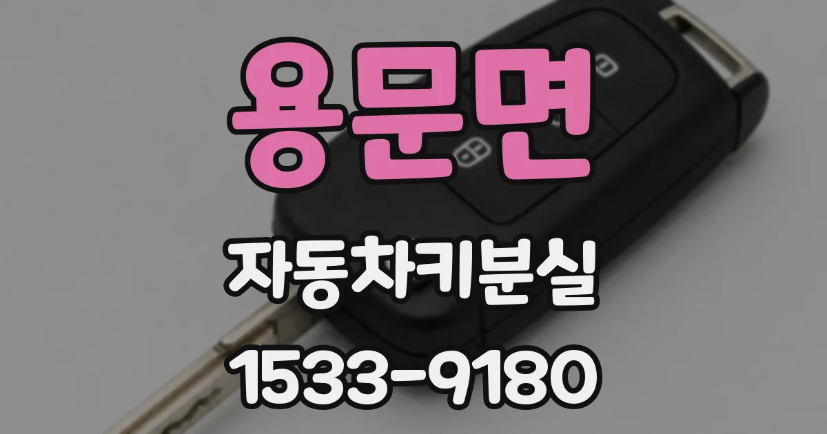 용문면 자동차키분실