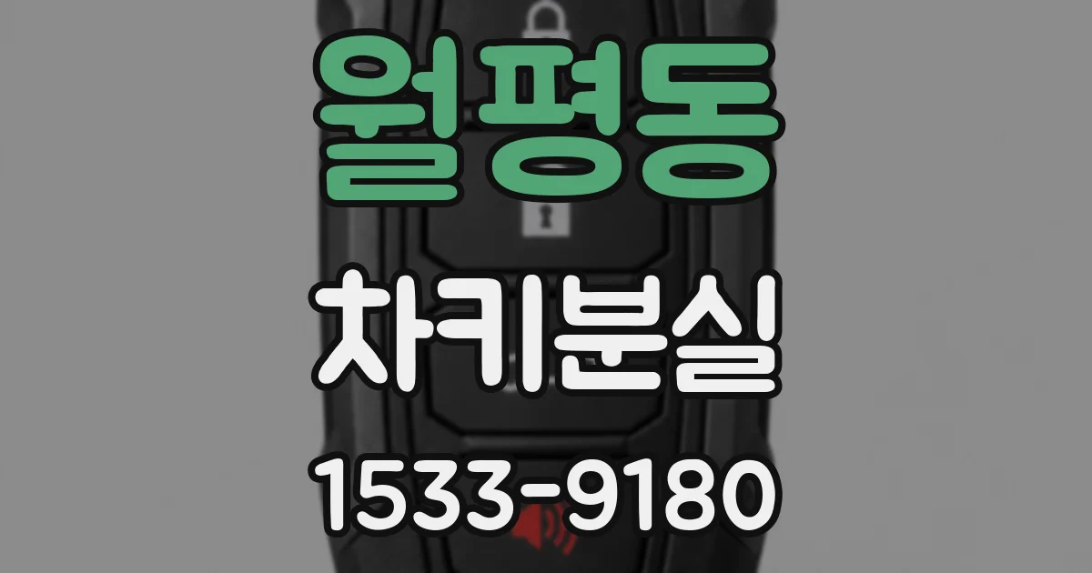 월평동 차키분실