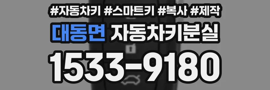 대동면 자동차키분실