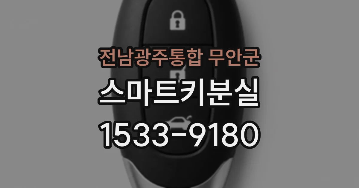 전남광주통합 무안군 스마트키분실