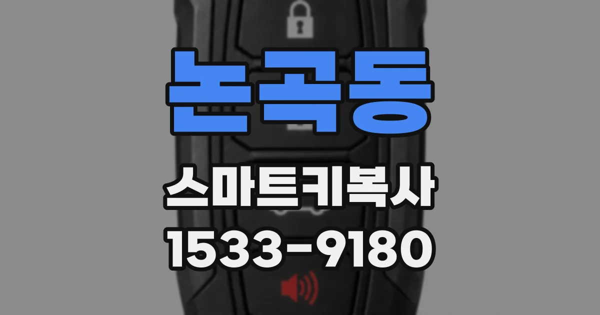 논곡동 스마트키복사