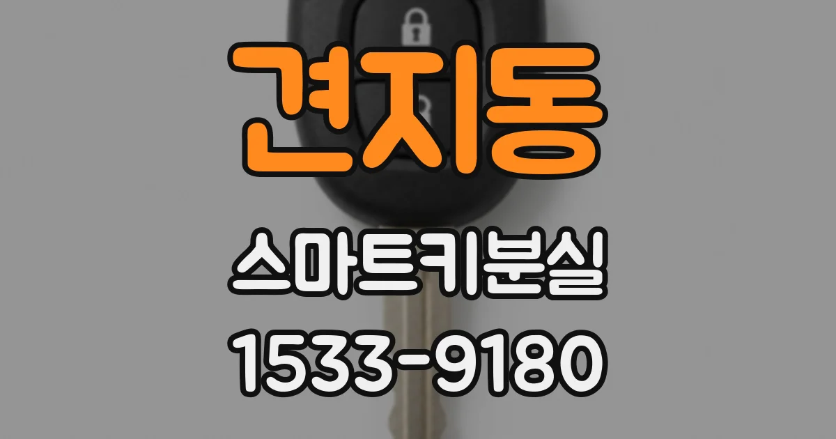 견지동 스마트키분실