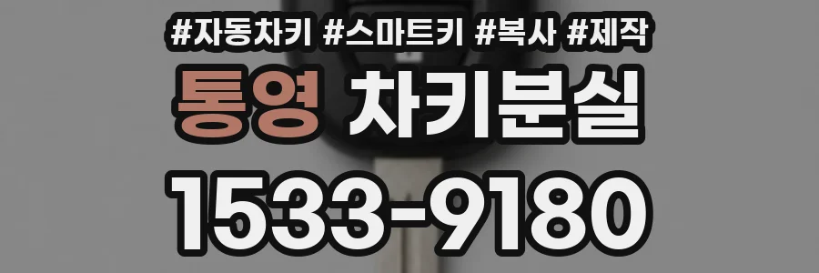 통영 차키분실