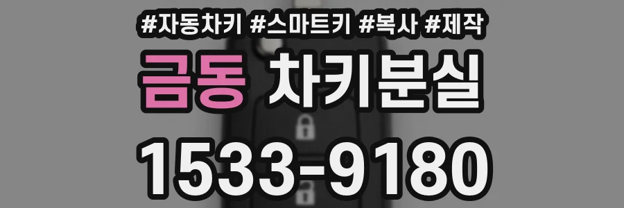 금동 차키분실