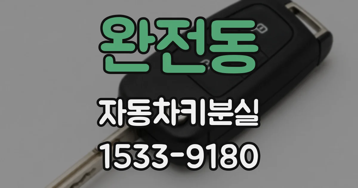 완전동 자동차키분실