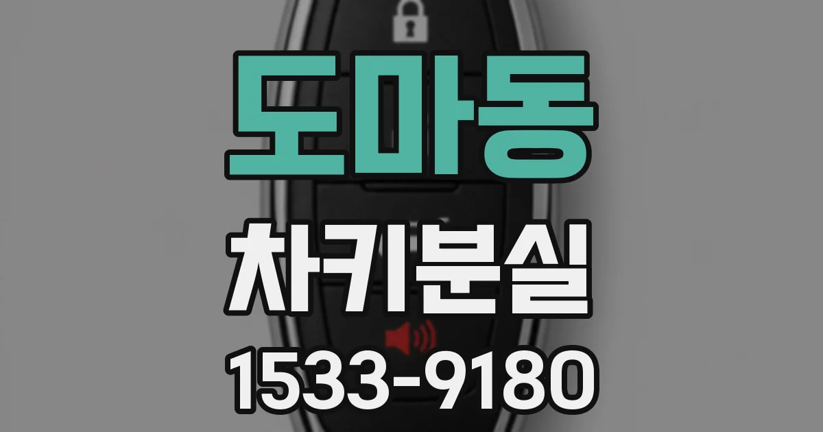 도마동 차키분실