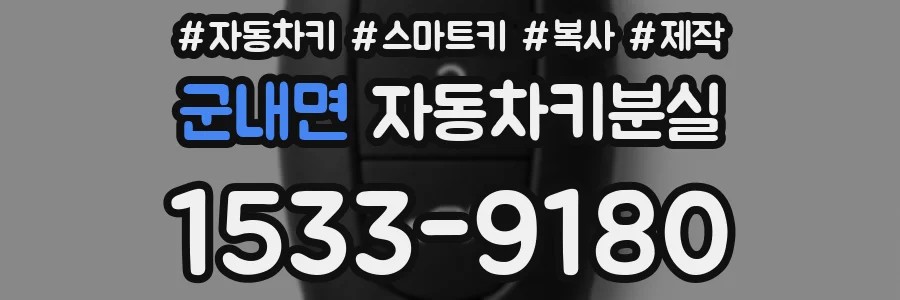 군내면 자동차키분실