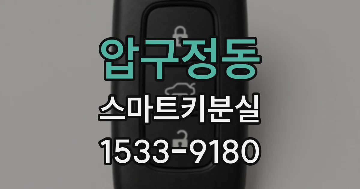 압구정동 스마트키분실