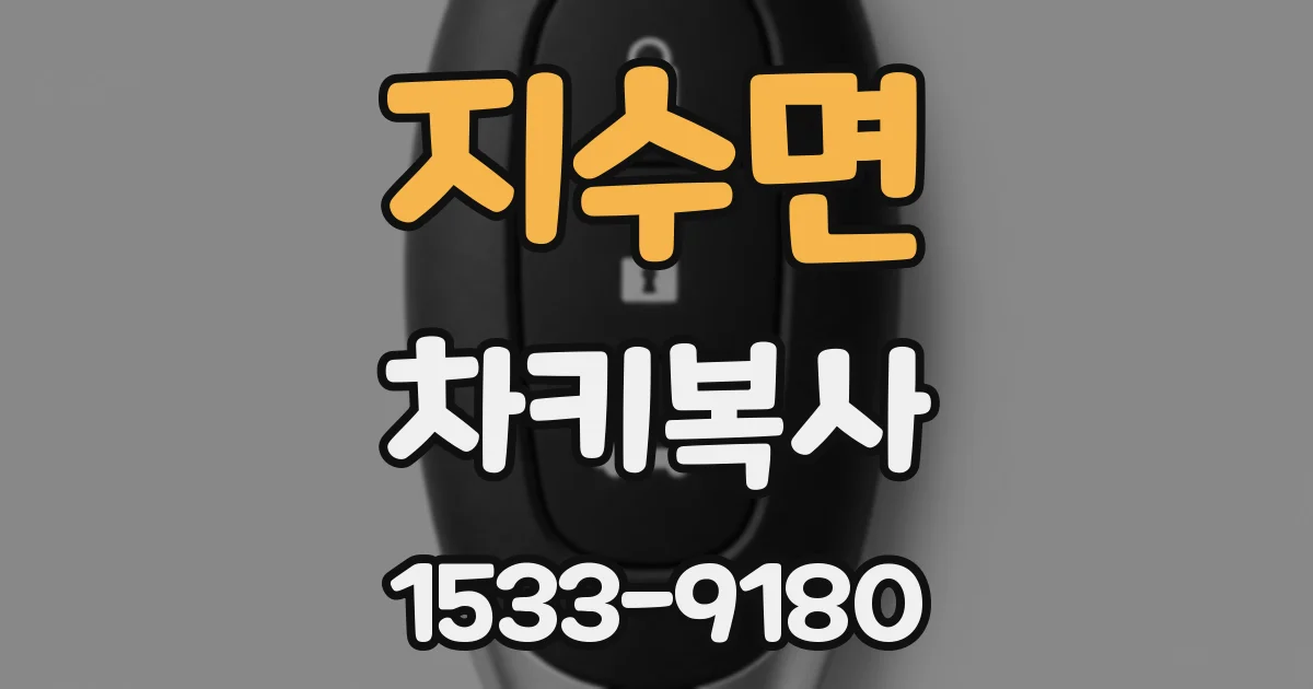 지수면 차키복사