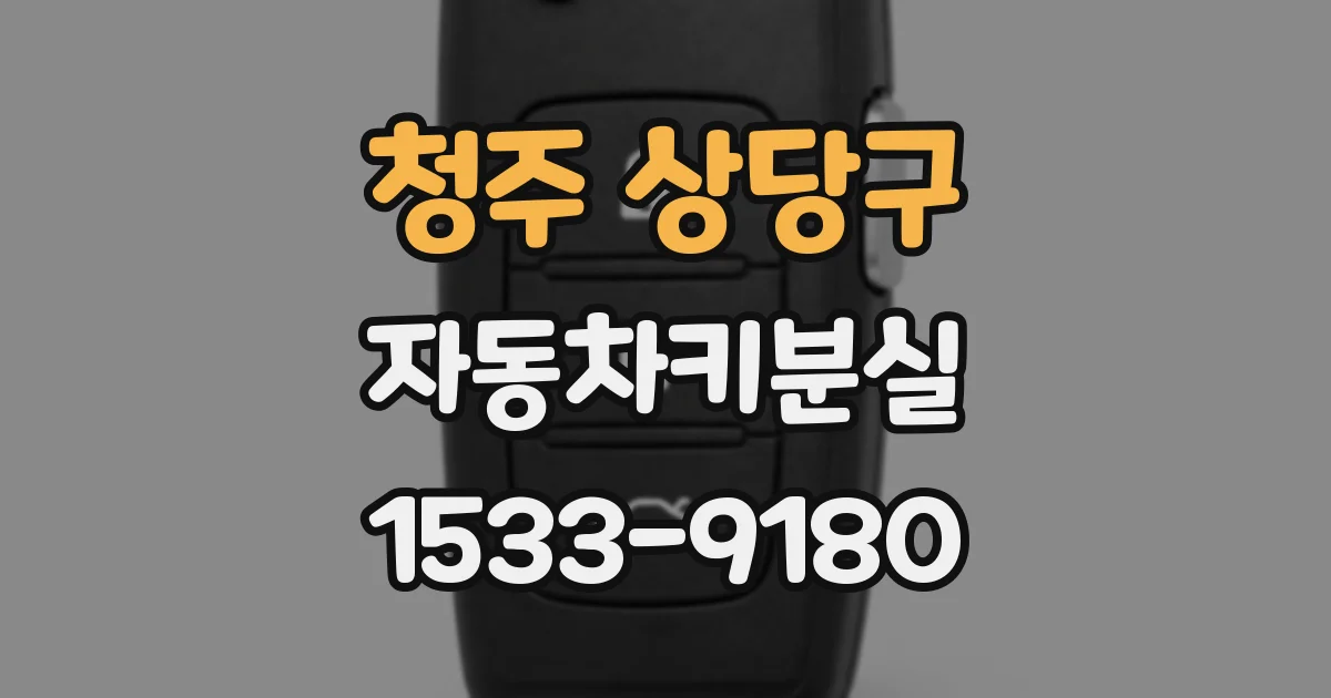 청주 상당구 자동차키분실