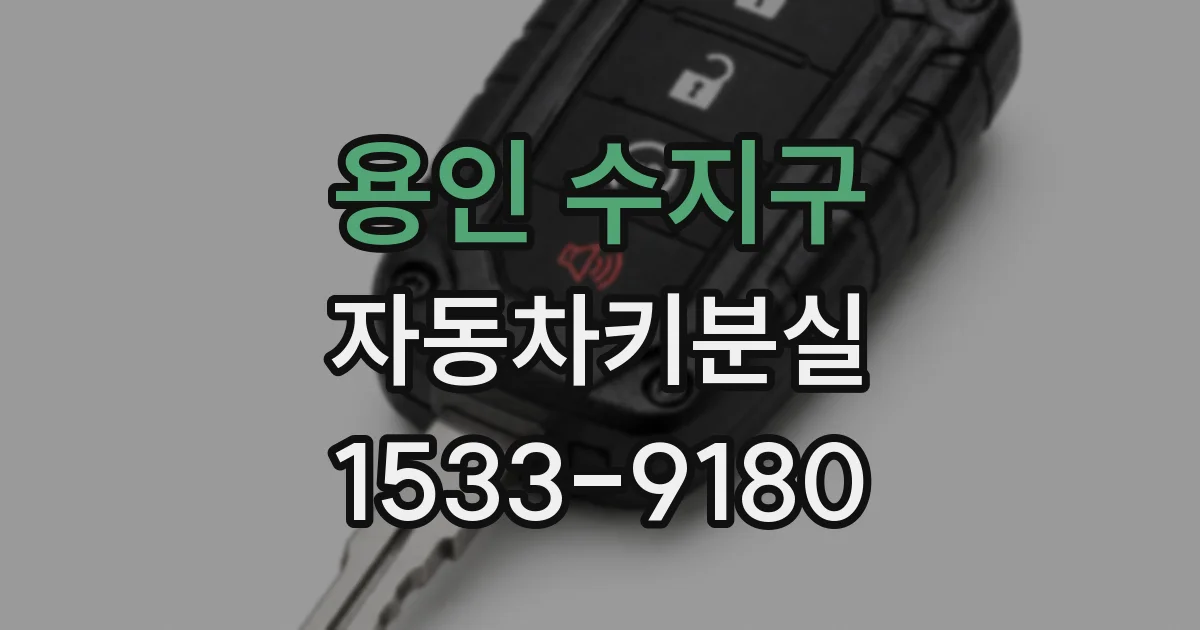용인 수지구 자동차키분실
