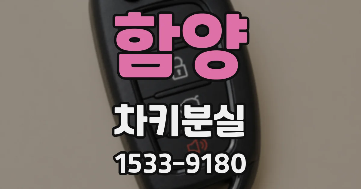 함양 차키분실