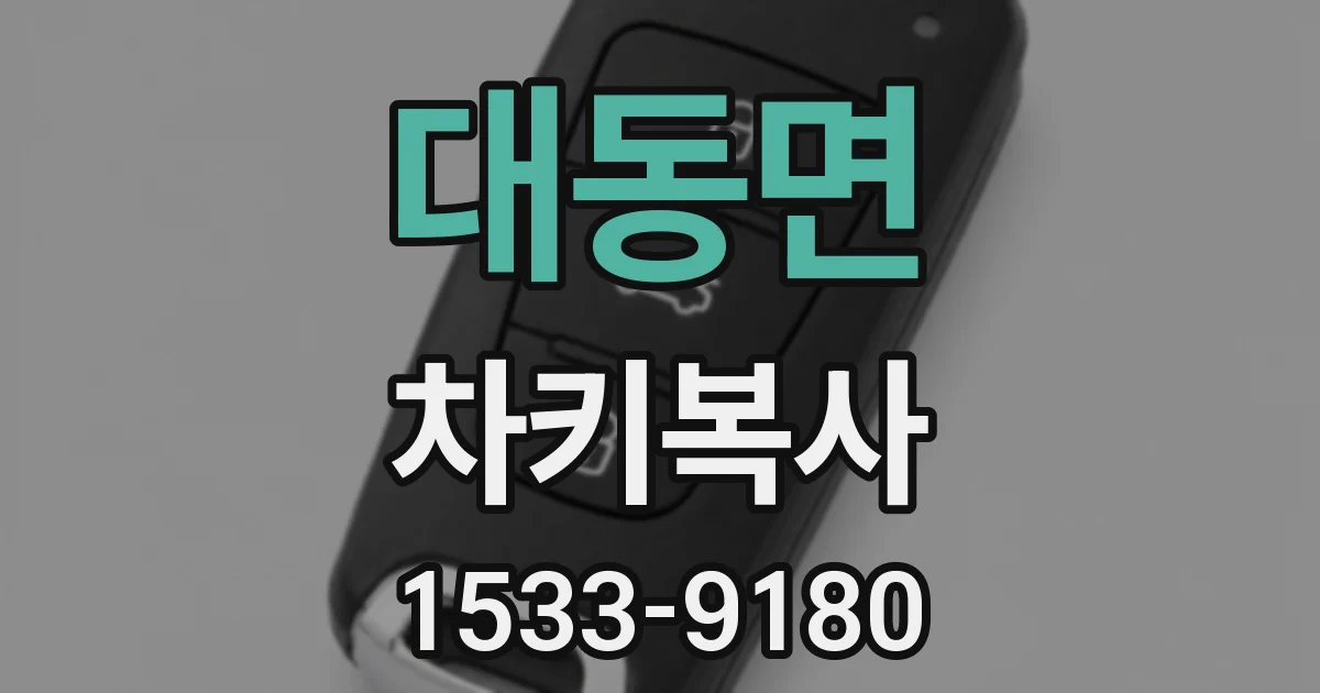 대동면 차키복사