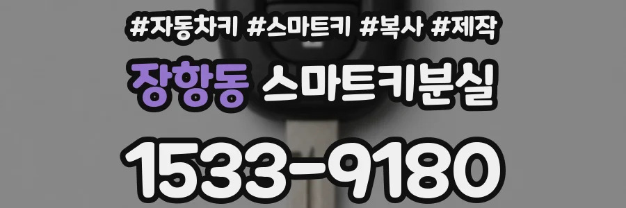 장항동 스마트키분실