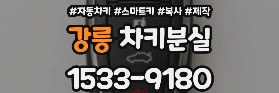 강릉 차키분실
