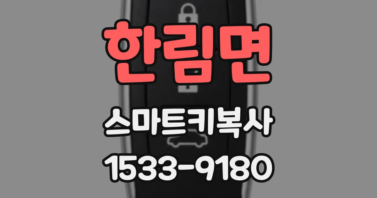한림면 스마트키복사