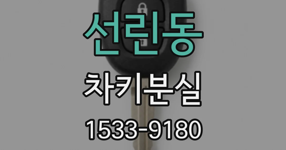 선린동 차키분실