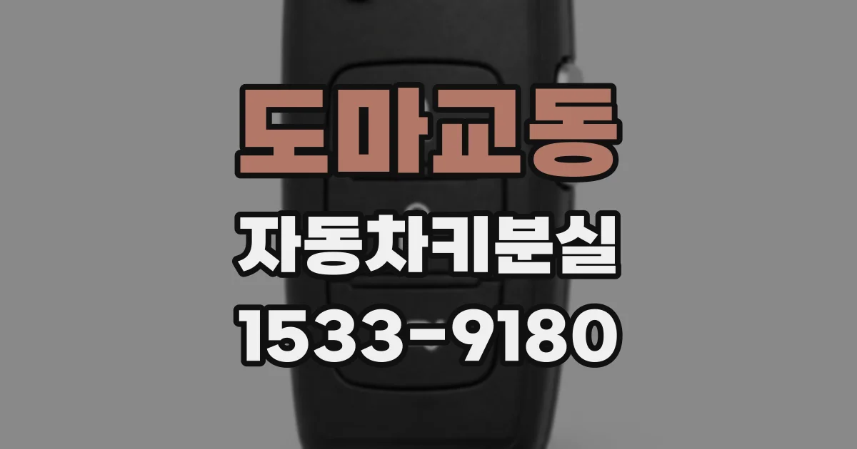 도마교동 자동차키분실
