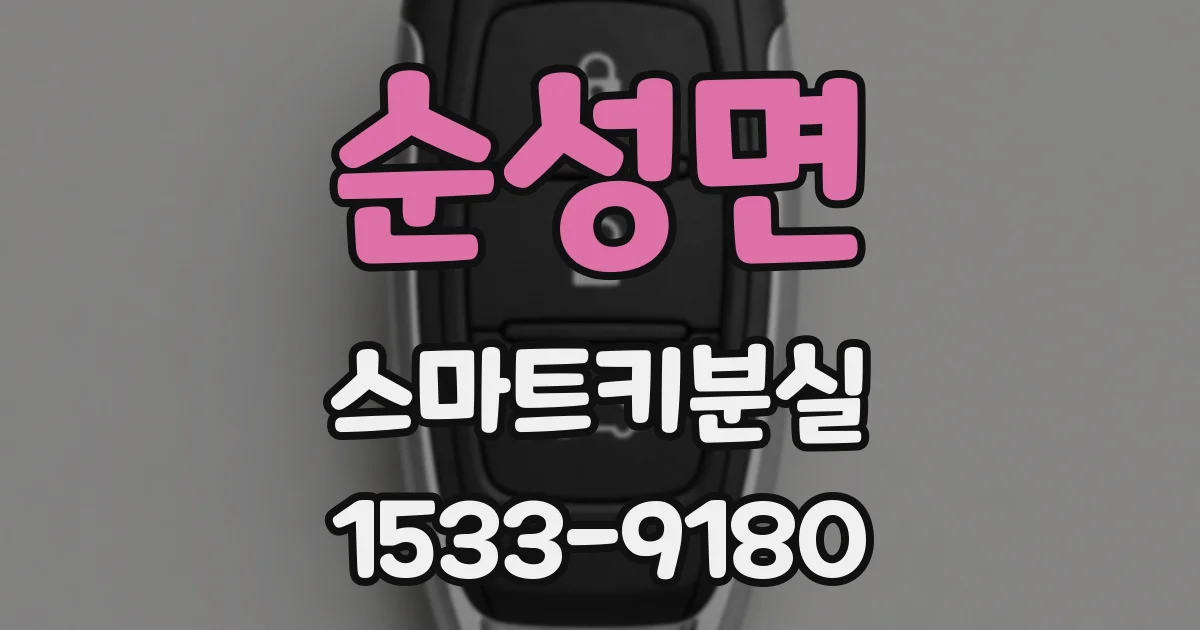 순성면 스마트키분실