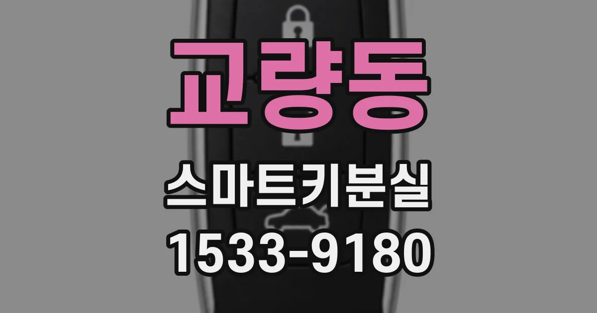 교량동 스마트키분실