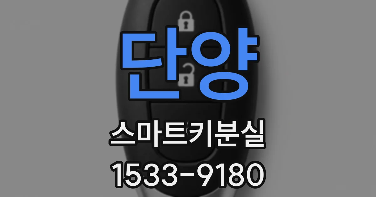 단양 스마트키분실