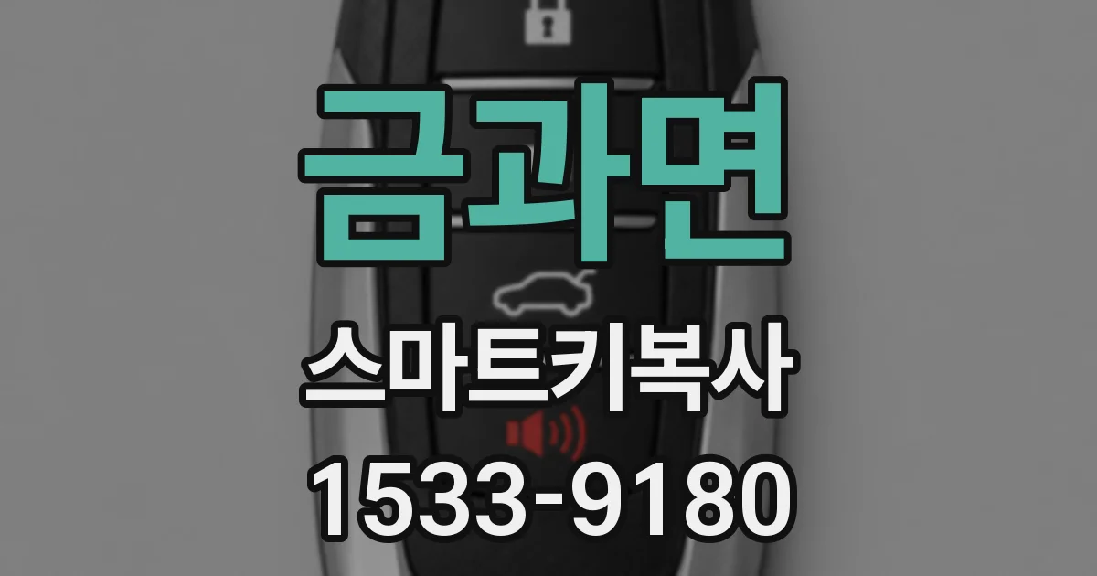 금과면 스마트키복사