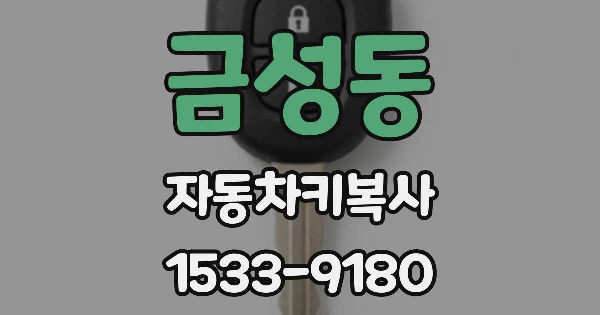 금성동 자동차키복사