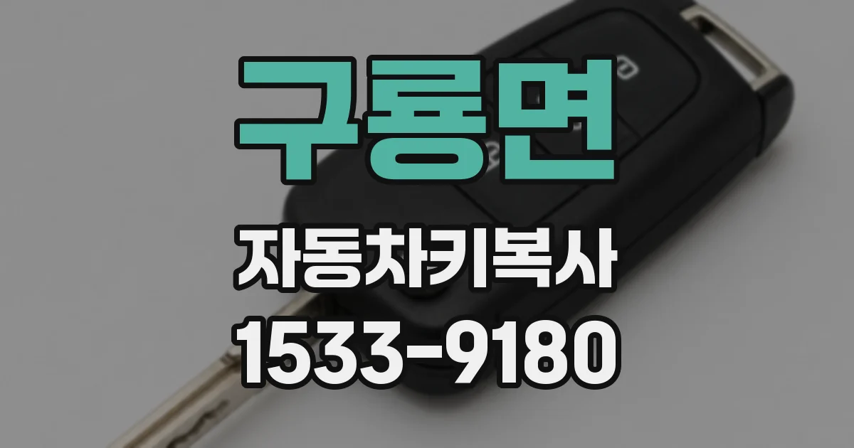 구룡면 자동차키복사