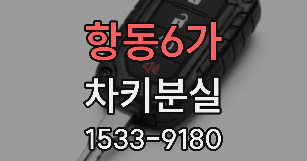 항동6가 차키분실